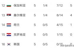开云体育app-意大利战平保加利亚，积分榜上晋级的简单介绍