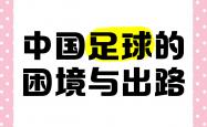 开云体育官方网站-探讨中国足球转型之路，从基层做起