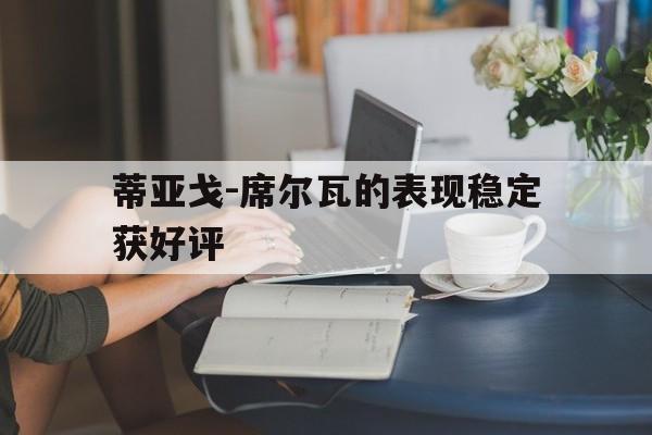 蒂亚戈-席尔瓦的表现稳定获好评的简单介绍