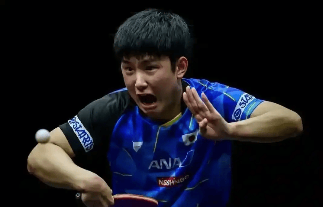 关于中国乒乓球队血洗韩国乒乓球队,张本智和打破历史纪录的信息 关于中国乒乓球队血洗韩国乒乓球队,张本智和打破历史纪录的信息