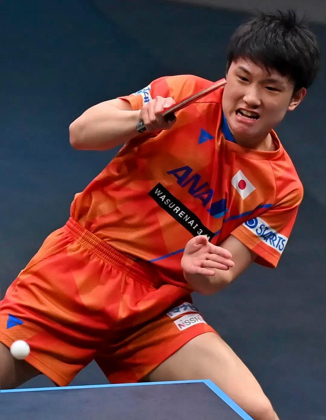 包含日本羽毛球队绝地反击法国羽毛球队，安赛龙制霸全场的词条