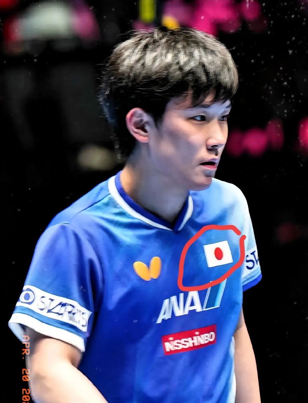 日本乒乓球队碾压中国乒乓球队，张本智和制霸全场