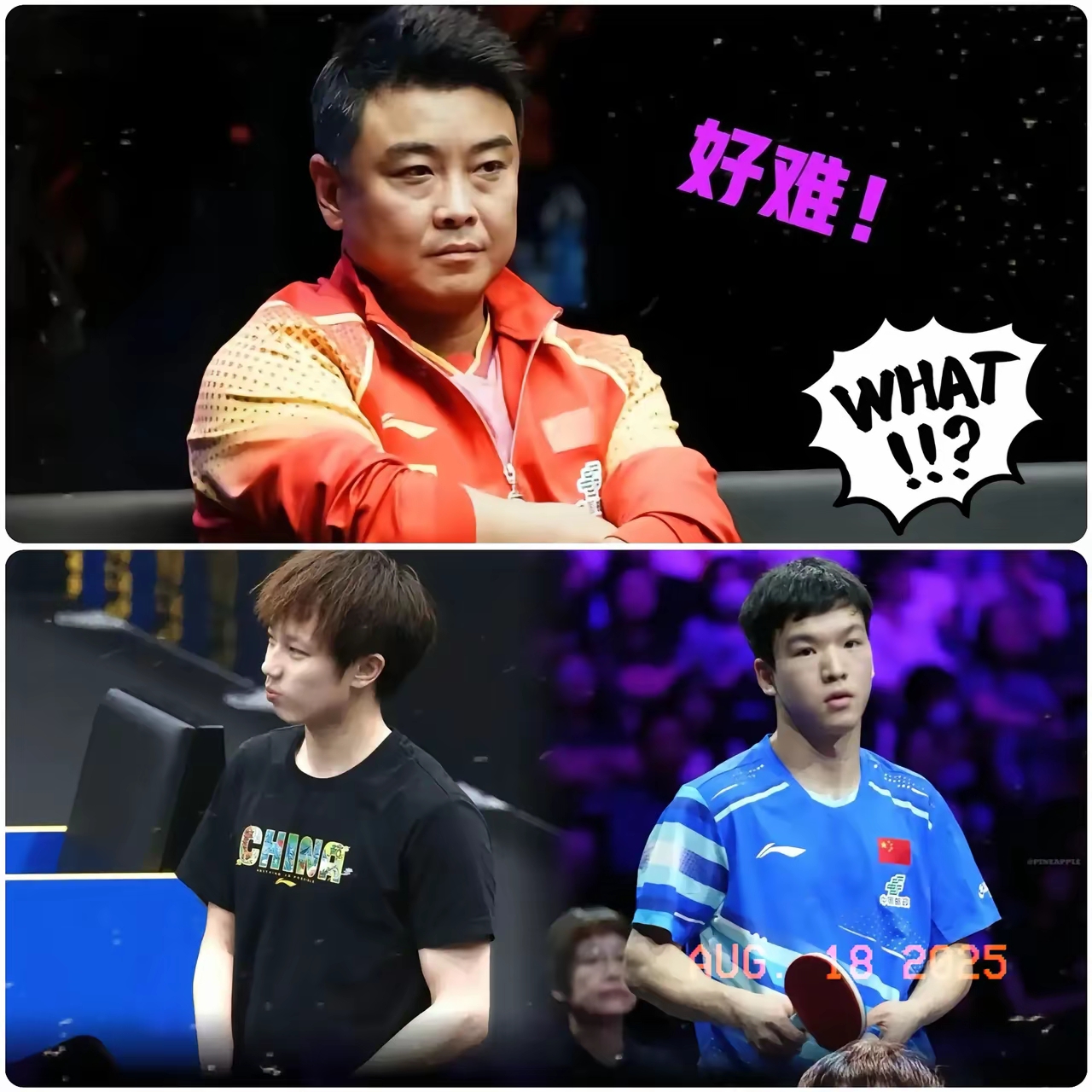 关于瑞典队碾压德国队，王皓惊艳四座的信息