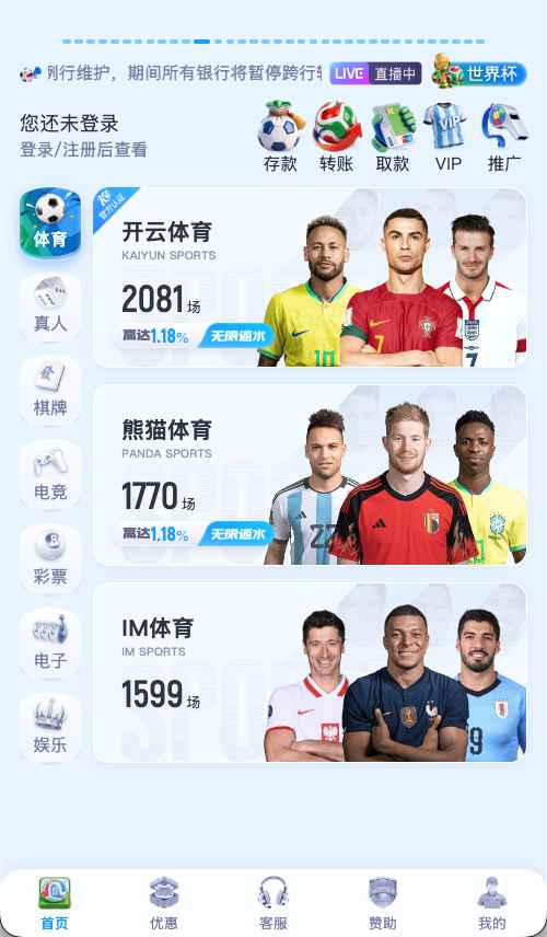开云体育官网首页界面